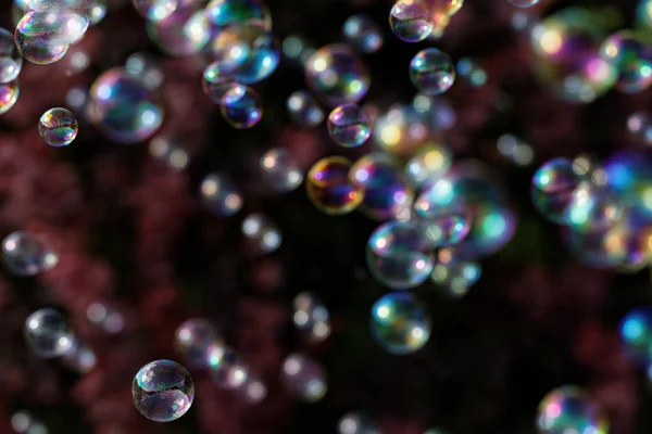 Ferrofluid - close-up foto — Stockfoto