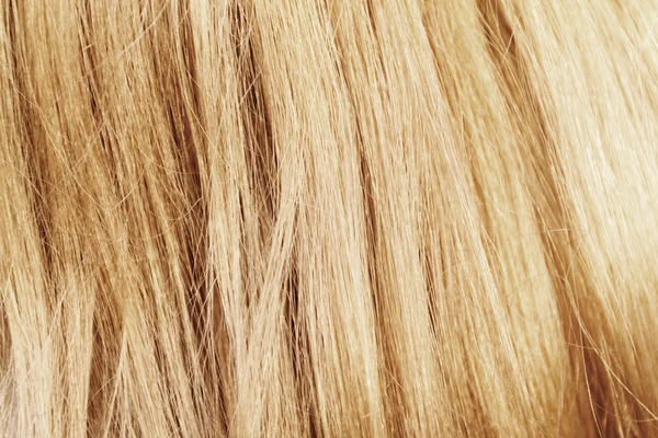 Blonde Haare - Nahaufnahme Foto — Stockfoto