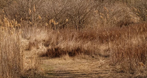 Torr landsbygden på hösten — Stockfoto