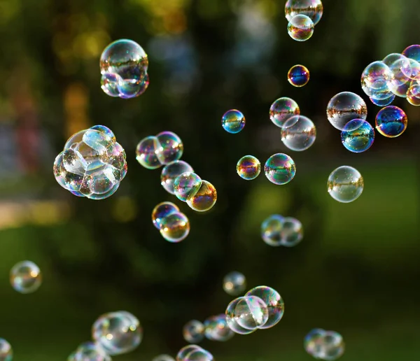 Bolhas de sabão - fundo — Fotografia de Stock