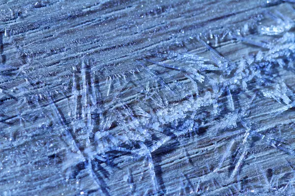 Frost matutino - quadro macro — Fotografia de Stock