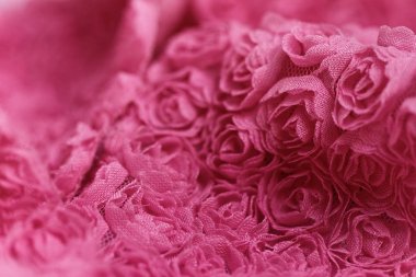 Pembe Gül arka plan - makro fotoğraf