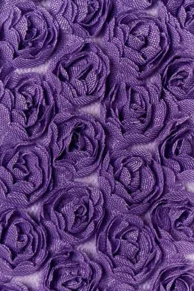 Fundo de rosa roxo - foto macro — Fotografia de Stock