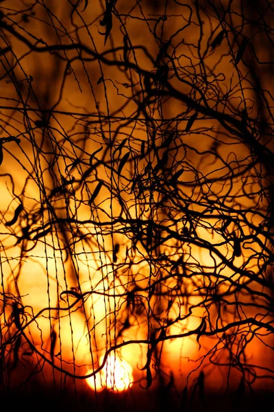 劇的な夕焼け空-アブストラクト写真 — ストック写真