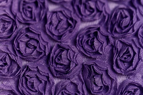 Purple rose background — Stock Photo, Image
