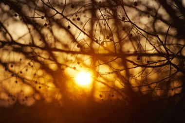 Dramatik gün batımı gökyüzü - soyut fotoğraf