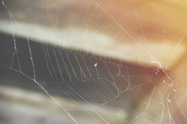 Tavan arasında güneş ışınları örümcek ağı