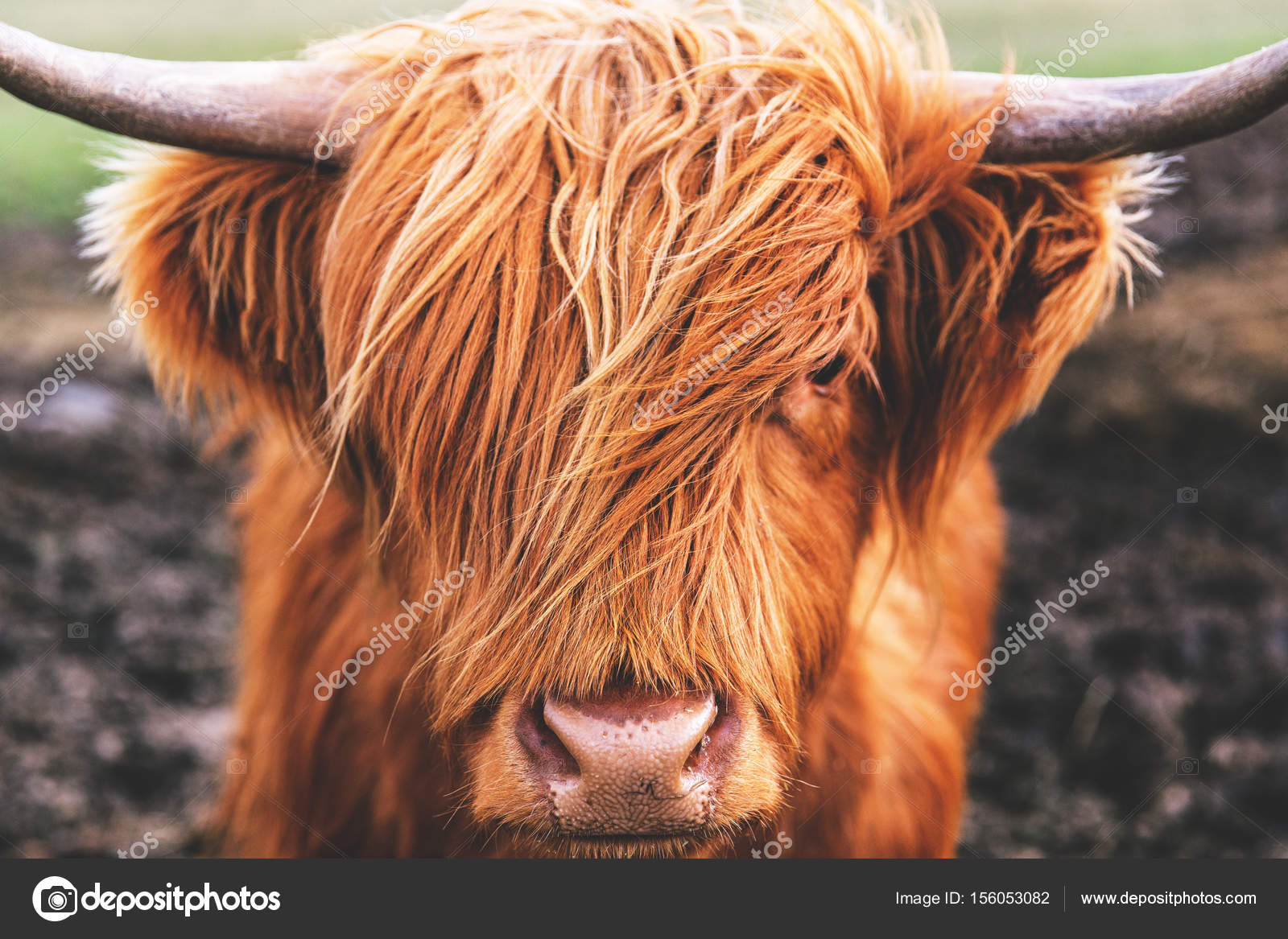 little school fuck captions free online dating highlands