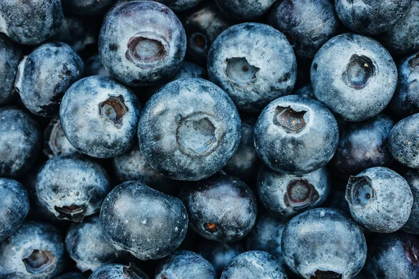 Fresh Blueberries Food Background Top View Royalty Free Stock Photos