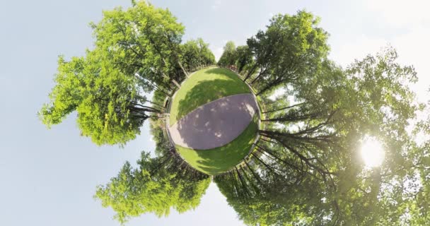Výhled do parku malá planeta. Stromy, příroda, obloha — Stock video