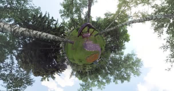 Tiny planet bird's house in the park — Stock Video