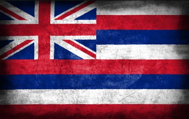 Hawaii bayrak, ABD ile metal doku