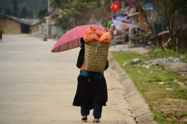 Hayvanat bahçesinde güneşlenme lemur