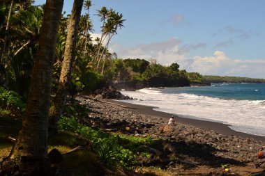 Siyah kum plaj - tropik ada