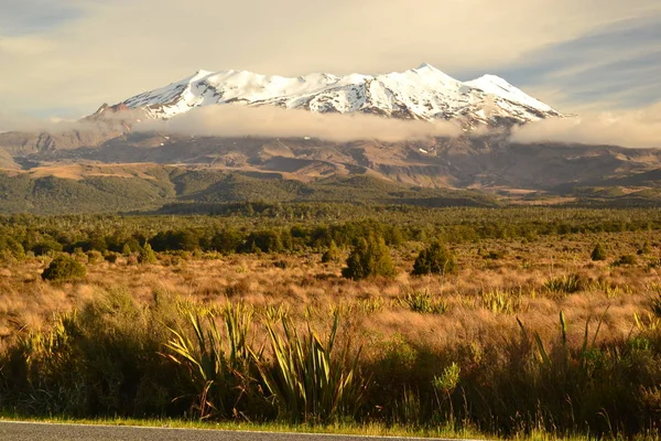 Mount Ruapehu (Tongariro Nationaal Park) — Stockfoto