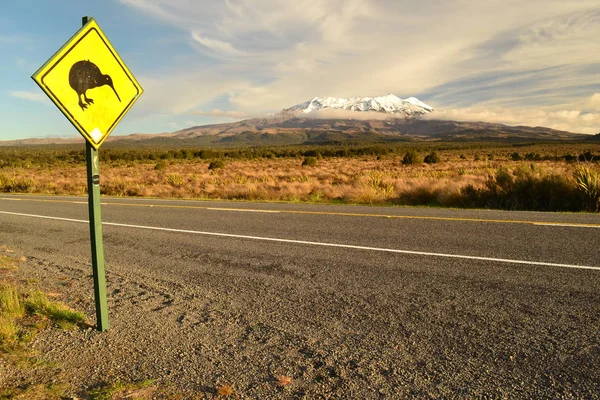 Mount Ruapehu (Tongariro Nationaal Park) Rechtenvrije Stockfoto's