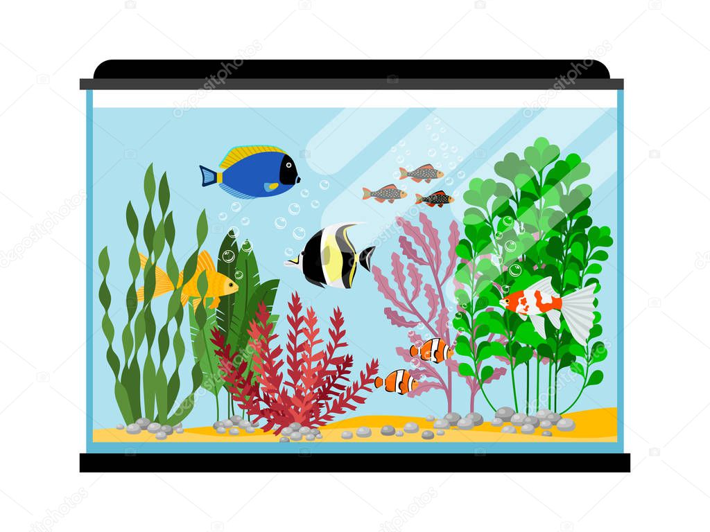 Peces de dibujos animados en el acuario. Agua salada o agua dulce