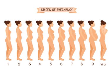 Download Expecting Mother Free Vector Eps Cdr Ai Svg Vector Illustration Graphic Art
