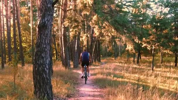 Ciclista hombre monta senderos forestales — Vídeo de stock