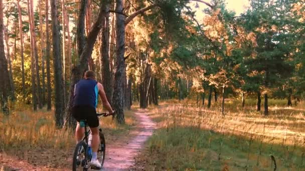 Ciclista hombre monta senderos forestales — Vídeo de stock