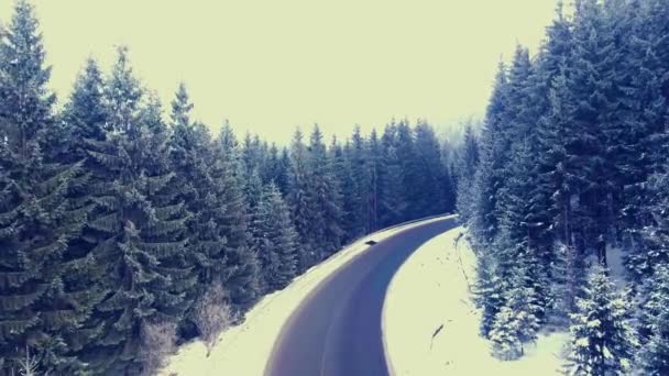 Voando sobre uma estrada de floresta de inverno nas montanhas — Vídeo de Stock