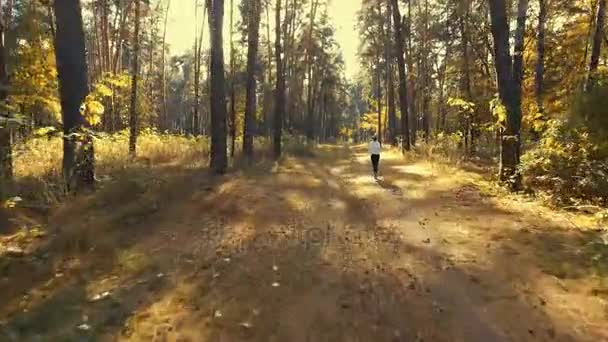 A lány fut a napsütéses reggel erdőben. Sport — Stock videók