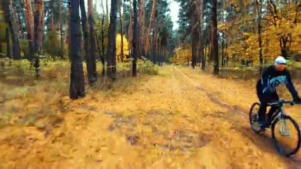 Muž cyklista projíždí lesní stezky — Stock video