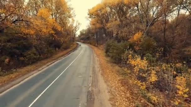 Молодой велосипедист на велосипеде по дороге с живописным осенним лесом — стоковое видео