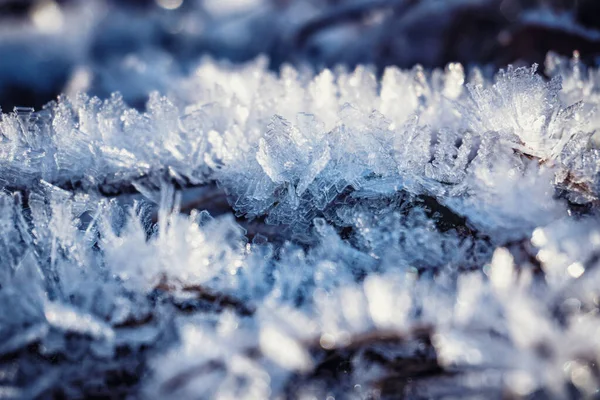 Krásné mrazové krystaly na zmrzlé trávě — Stock fotografie