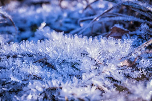 Beautiful frost crystals on frozen grass — Stok fotoğraf