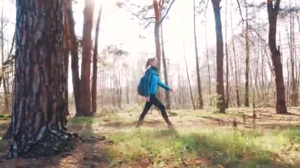 Mujer joven camina en un pinar de primavera . — Vídeo de stock