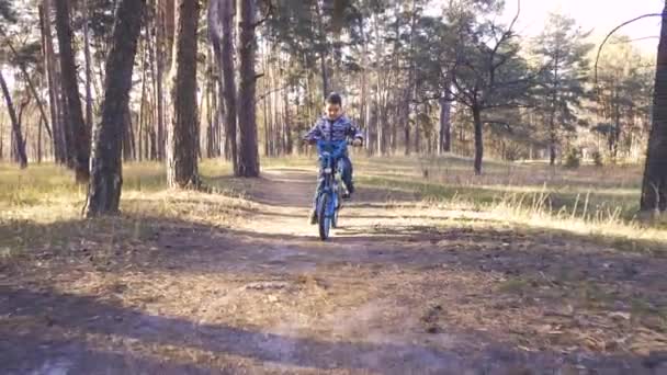 Feliz niño ciclista paseos en el bosque en una bicicleta de montaña . — Vídeo de stock