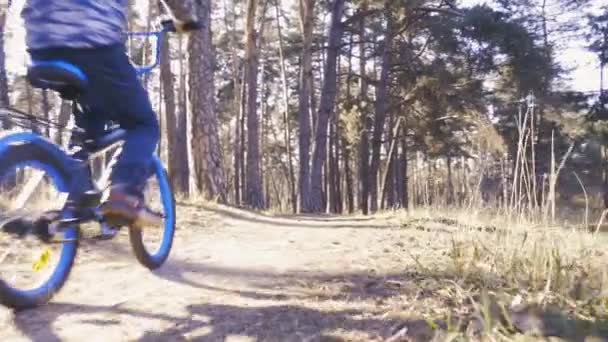 Boldog gyerek kerékpáros lovagol az erdőben egy mountain bike. — Stock videók