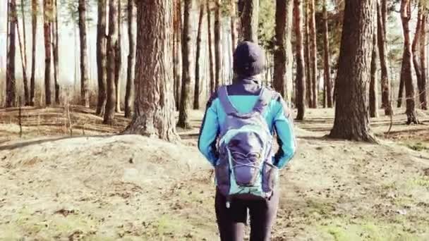 Молодая женщина ходит в сосновом лесу . — стоковое видео