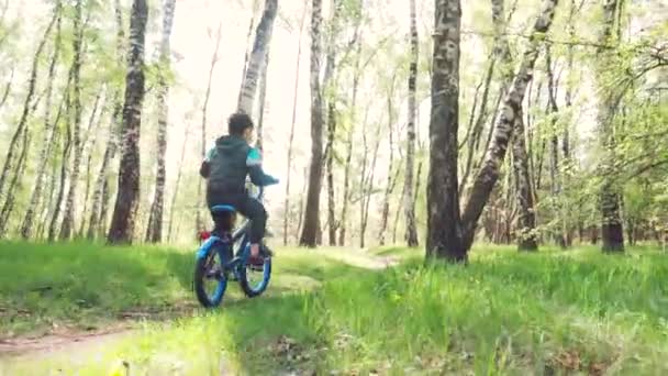 Happy kid cycliste promenades dans la forêt sur un vélo de montagne . — Video