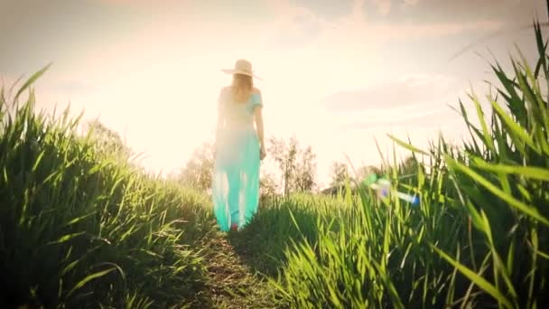 Молодая женщина идет по пшеничному полю с восходом солнца на заднем плане — стоковое видео