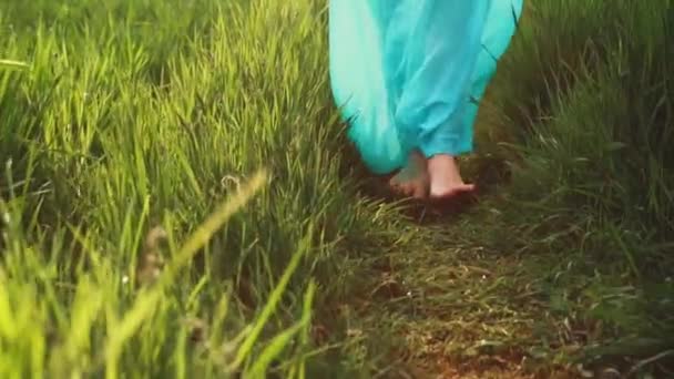 Femme pieds nus marche sur l'herbe luxuriante de printemps. — Video