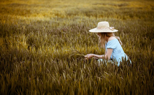 Молодая женщина сидит на пшеничном поле с восходом солнца на заднем плане — стоковое фото