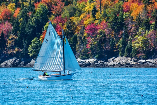 Sailboat coastal Maine, New England