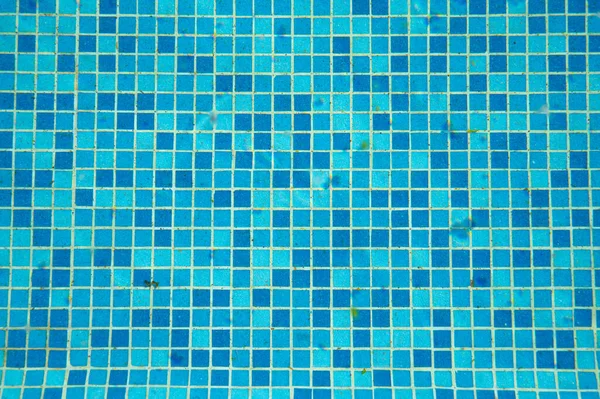 Detalle Azulejo Mosaico Azul Piscina Cubierta — Foto de Stock