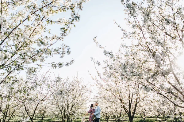 Ungt par promenader i den blommande trädgården — Stockfoto