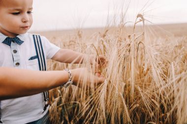 çocuğun buğday alanında
