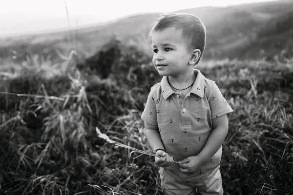 Kisfiú a magas fűben-hegység — Stock Fotó