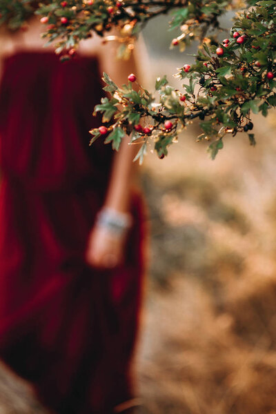 Woman in red dress walks by red hawthorn berries on the branch with green leaves in the autumn