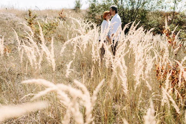 Orta yaşlı çift sarı çim yürür