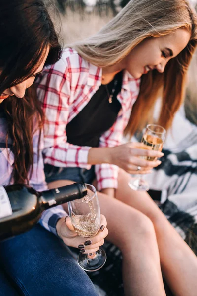 Güzel kızlar dağlarında piknik