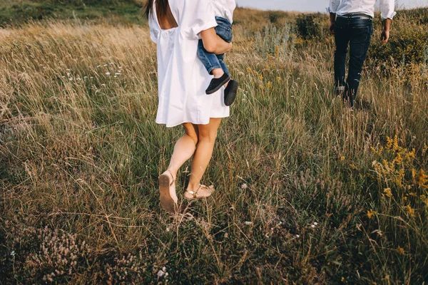 Familia joven caminando en el prado — Foto de Stock