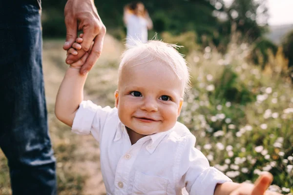Genç aile çayırda yürüyüş