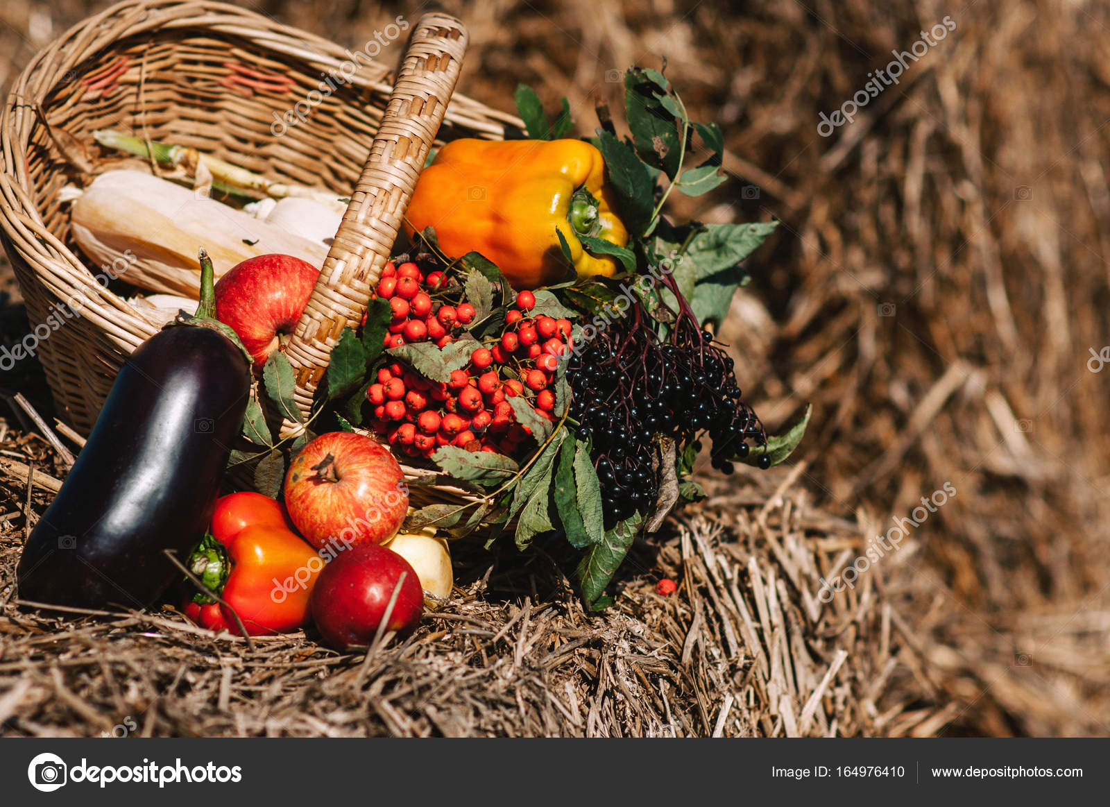 Still life with vegetables on hay Stock Photo by ©bondart 164976410