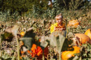 Kabaklar alandaki küçük kız 